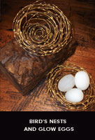 Bird's Nest & Glow Eggs